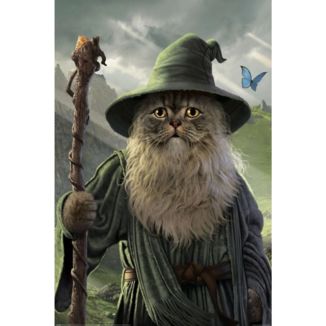 Catdalf Poster The Lord Of The Rings 91,5 x 61 cms