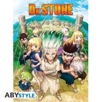 Dr. Stone Group Poster 52 x 38 cms