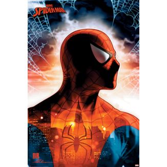 Poster Protector of the City Spiderman Marvel Comics 91,5 x 65 cms