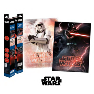 Galactic Empire Star Wars Poster 2 Set 52 x 38 cms