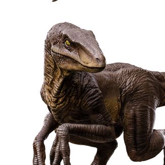 Velociraptor C Figure Jurassic World Icons