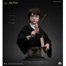 Harry Potter Busto 1/1 Harry 76 cm