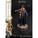 Harry Potter Estatua Prime Collectibles 1/6 Harry Potter 28 cm