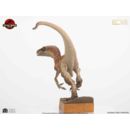 Jurassic Park Estatua 1/4 The Lost World: Jurassic Park Male Velociraptor 63 cm  