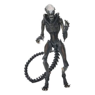 Scorched Xenomorph Articulated Figure Alien: Romulus Neca Ultimate Action