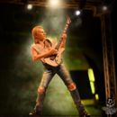 Def Leppard Estatua Rock Iconz Phil Collen 24 cm