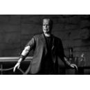 Universal Monsters Action Figure Ultimate Frankenstein's Monster (Bride of Frankenstein) (B&W) 18 cm