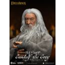 Lord of the Rings Dynamic 8ction Heroes Action Figure 1/9 Gandalf the Grey 21 cm 