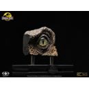 Jurassic Park Réplica 1/1 Velociraptor Eye 23 cm   