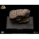 Jurassic Park Réplica 1/1 Velociraptor Eye 23 cm   