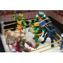 Teenage Mutant Ninja Turtles (Archie Comics) Action Figures 4-Pack Stump Wrestling Turtles 18 cm