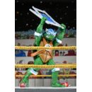 Teenage Mutant Ninja Turtles (Archie Comics) Action Figures 4-Pack Stump Wrestling Turtles 18 cm