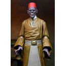 Universal Monsters Action Figure Ultimate Ardath Bey (The Mummy) 18 cm