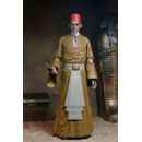 Universal Monsters Action Figure Ultimate Ardath Bey (The Mummy) 18 cm