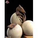 Jurassic Park ECC Elite Creature Line Estatua 1/2 Pterosaur Hatching 16 cm