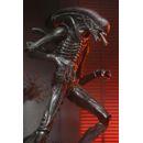 Alien: Romulus Figura Ultimate Xenomorph XX121 18 cm