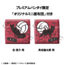 Haikyu!! Look Up PVC Statues Shinsuke Kita & Rintaro Suna Uniform Ver. 11 cm (with gift)      