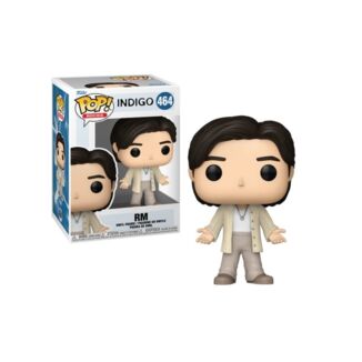 Funko RM Single Wild flower Álbum Indigo BTS POP! Rocks 464