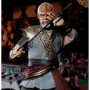 Star Trek: Picard Action Figure 1/6 Worf 30 cm
