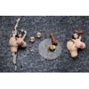 Original Character Statue 1/5 Amane Sopra Illustrated by Asanagi DX Ver. 43 cm         