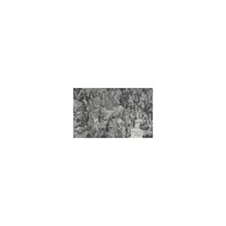 Álbum Rosé - -R-