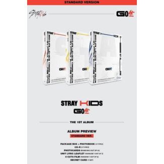 STRAY KIDS Album - GO Live: 生 Standard Ver (Random Cover)