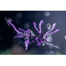 Arcanadea Maqueta Plastic Model XenoAlma Tidal Orketos 35 cm      