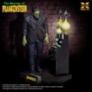 El doctor Frankenstein Maqueta Plastic Model Kit 1/8 The Monster of Frankenstein 27 cm   