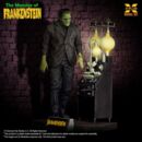 El doctor Frankenstein Maqueta Plastic Model Kit 1/8 The Monster of Frankenstein 27 cm   