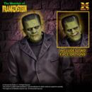 El doctor Frankenstein Maqueta Plastic Model Kit 1/8 The Monster of Frankenstein 27 cm   