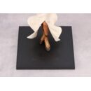 Yu-Gi-Oh! Oshi Works Figure 1/7 Ishizu Ishtar 23 cm          