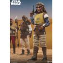 Star Wars Figura 1/6 Vizam 32 cm
