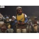 Star Wars Figura 1/6 Vizam 32 cm