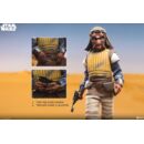 Star Wars Figura 1/6 Vizam 32 cm