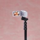 Original Action Body PVC Figure Chizuru Shiina Tanned Skin Deluxe ver. 29 cm