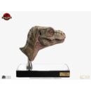 The Lost World: Jurassic Park Réplica 1/1 Junior T-Rex Prop (Reproduction) 39 cm