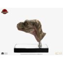 The Lost World: Jurassic Park Réplica 1/1 Junior T-Rex Prop (Reproduction) 39 cm