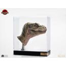 The Lost World: Jurassic Park Réplica 1/1 Junior T-Rex Prop (Reproduction) 39 cm