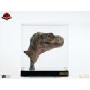 The Lost World: Jurassic Park Réplica 1/1 Junior T-Rex Prop (Reproduction) 39 cm