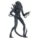 Aliens Ultimate Action Figure Warrior (1986) Blue 23 cm