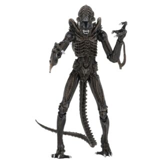 Aliens Ultimate Figura Warrior (1986) Brown 23 cm