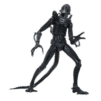 Aliens Ultimate Figura Warrior (1986) Xenomorph Black (40th Anniversary) 23 cm