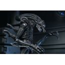 Aliens Ultimate Figura Warrior (1986) Xenomorph Black (40th Anniversary) 23 cm