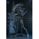 Aliens Ultimate Figura Warrior (1986) Xenomorph Black (40th Anniversary) 23 cm