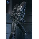 Aliens Ultimate Figura Warrior (1986) Xenomorph Black (40th Anniversary) 23 cm