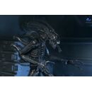 Aliens Ultimate Figura Warrior (1986) Xenomorph Black (40th Anniversary) 23 cm