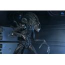 Aliens Ultimate Figura Warrior (1986) Xenomorph Black (40th Anniversary) 23 cm