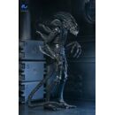 Aliens Ultimate Figura Warrior (1986) Xenomorph Black (40th Anniversary) 23 cm