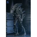 Aliens Ultimate Figura Warrior (1986) Xenomorph Black (40th Anniversary) 23 cm