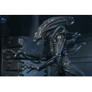 Aliens Ultimate Figura Warrior (1986) Xenomorph Black (40th Anniversary) 23 cm